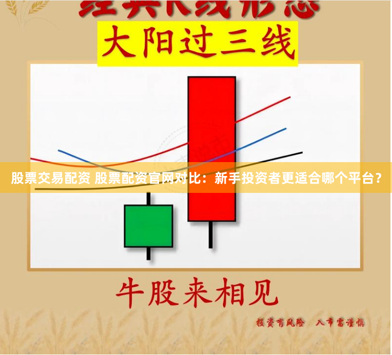 股票交易配资 股票配资官网对比：新手投资者更适合哪个平台？