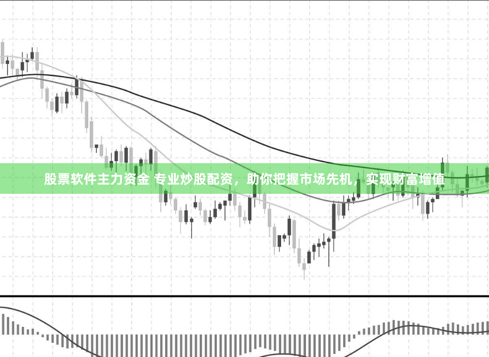 股票软件主力资金 专业炒股配资，助你把握市场先机，实现财富增值